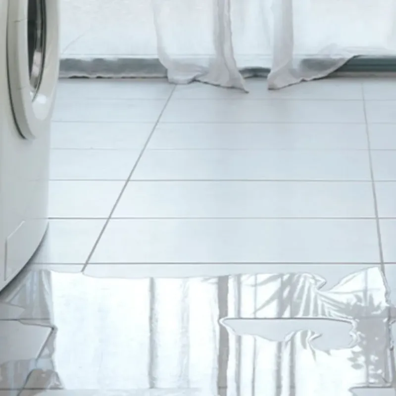 Appliance Leak Cleanup in Orangeville, UT