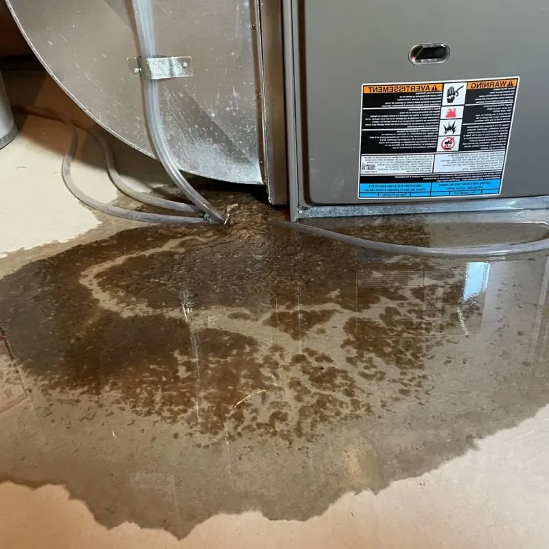 Pipe Burst and Leak Restoration in Orangeville, UT
