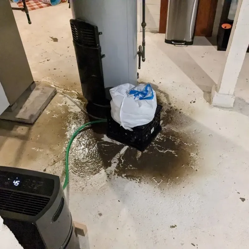Sewage Backup Cleanup Service in Orangeville, UT
